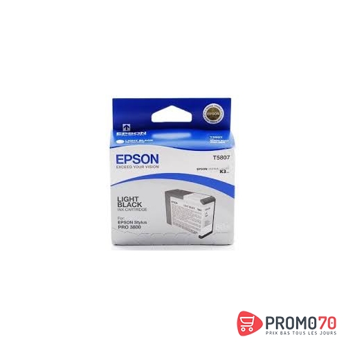 Encre pigment gris clair sp 3800-3880 (80ml)