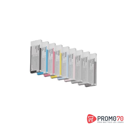 Encre pigment gris sp 4800-4880 (220ml)