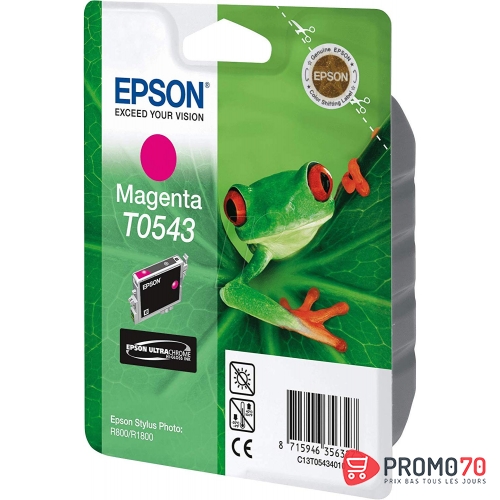 Epson encre magenta r800-r800r-r1800