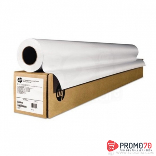 Hp film polyester transp mat rlx 914mm 36