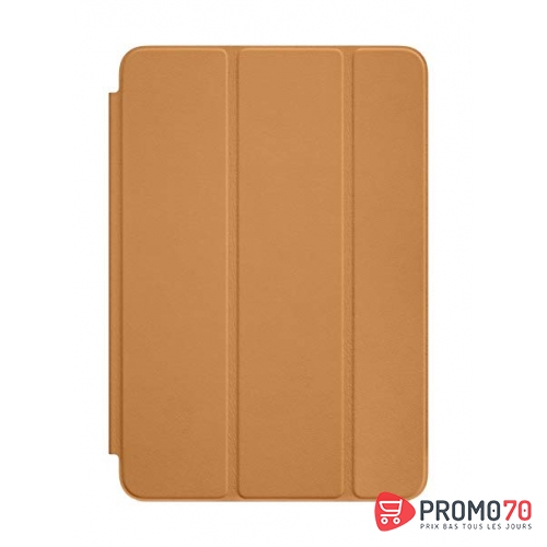 Ipad mini smart case